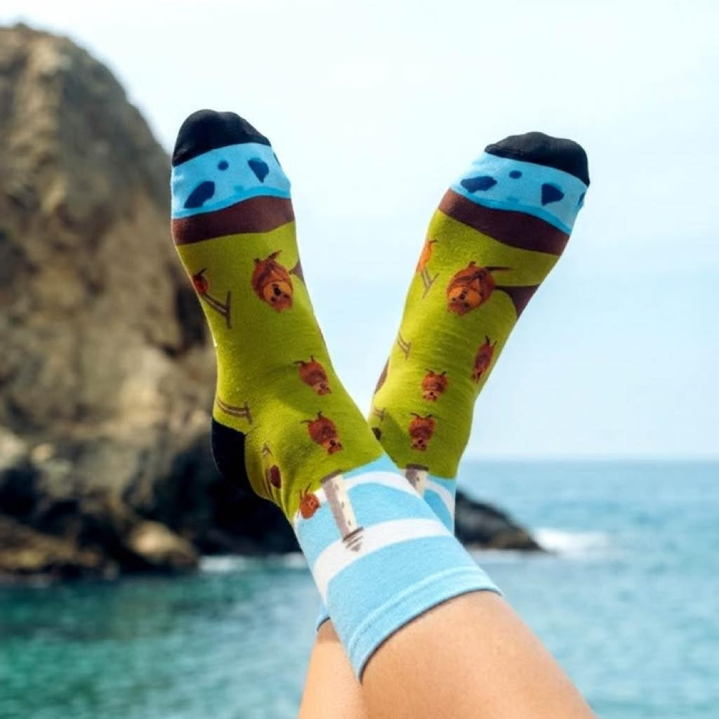 Rottnest island with quokka design socks