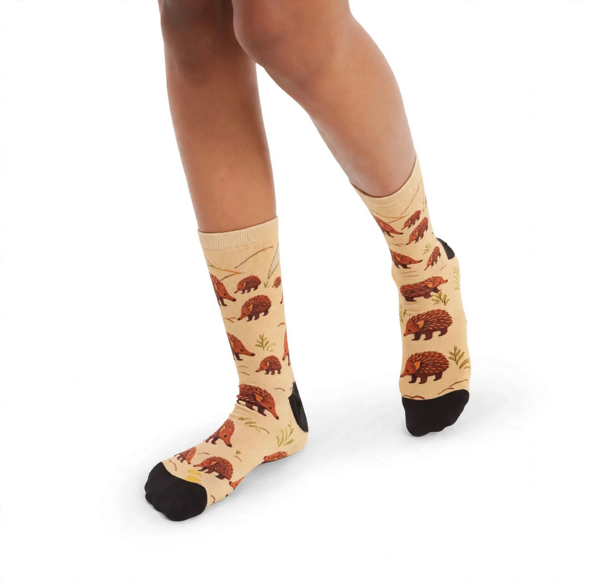 Echidna bamboo socks with colourful Australian animal design by Red Fox Sox