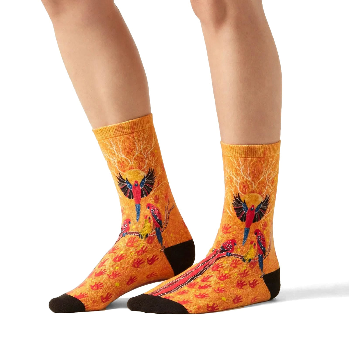 Rosella Reunion by Melanie Hava: orange bamboo socks with colourful rosellas worn on feet, side view.