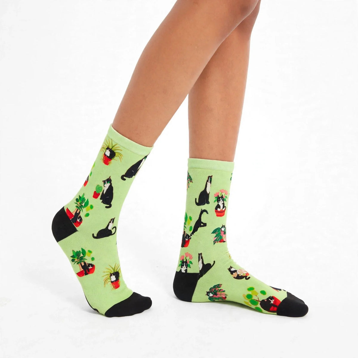 Novelty cat socks with plants in soft bamboo fibre, colourful gift socks for cat lovers in Australia