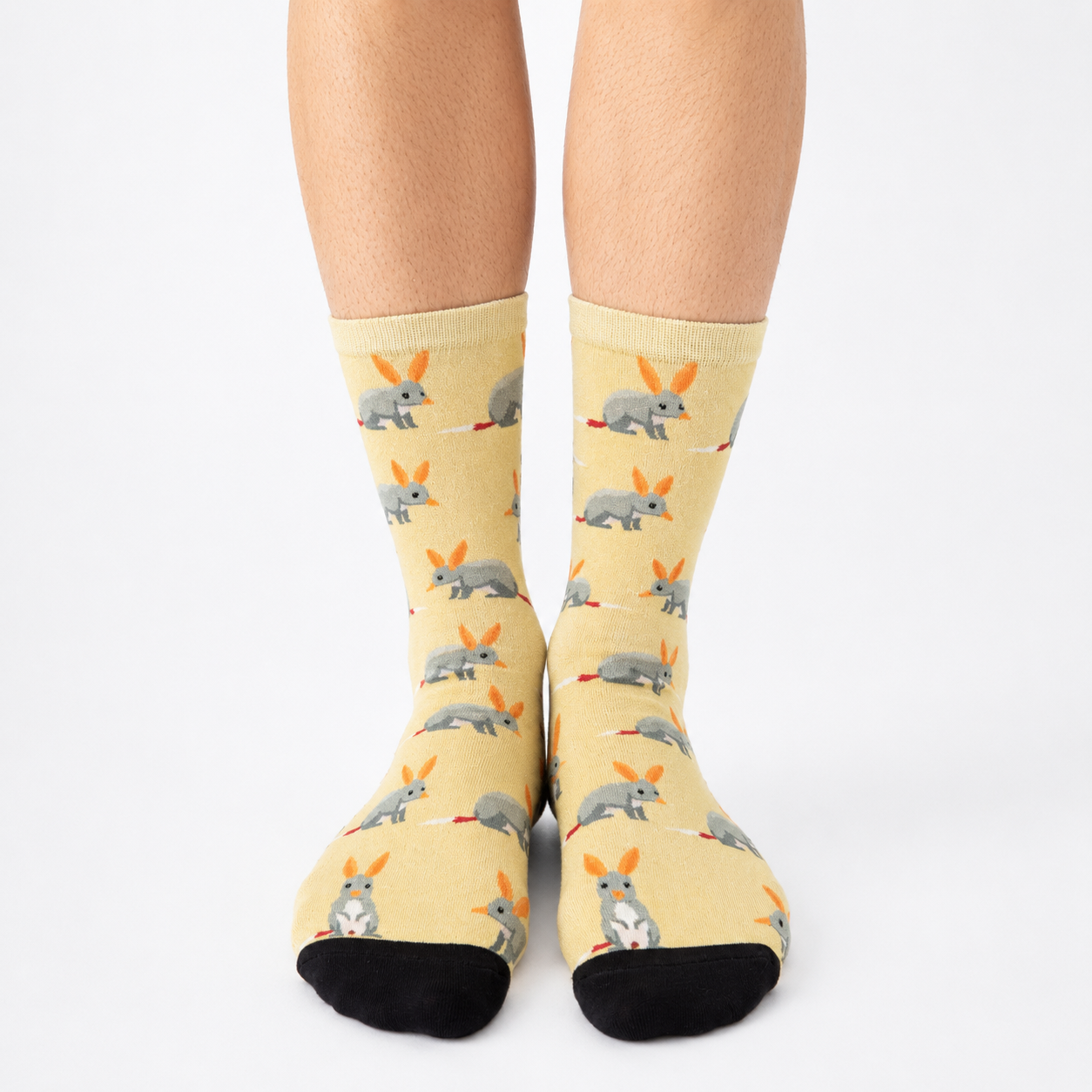 Colourful bamboo socks featuring Bilbies on a light brown background.