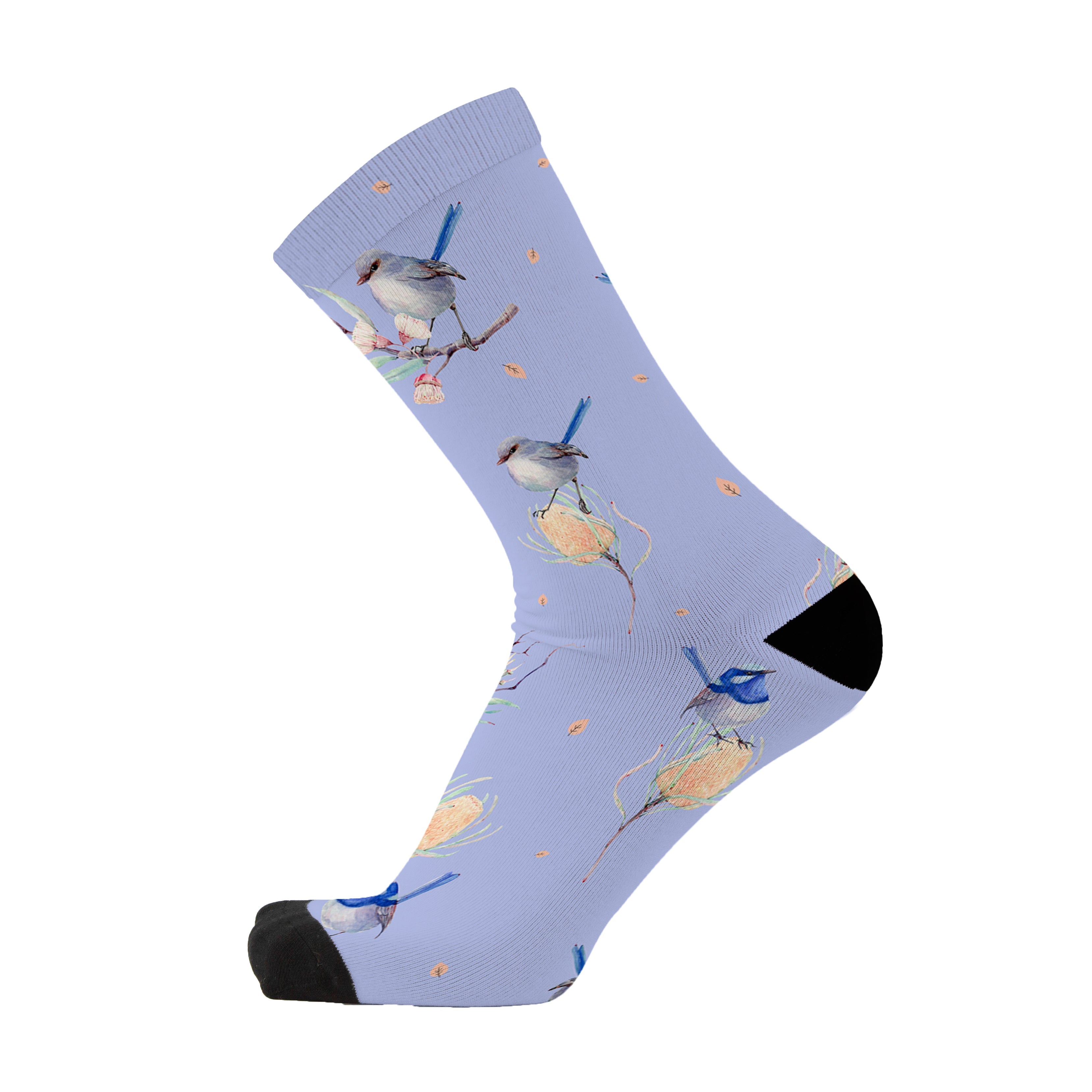Colourful bamboo socks featuring Australian bird wren on a blue background.