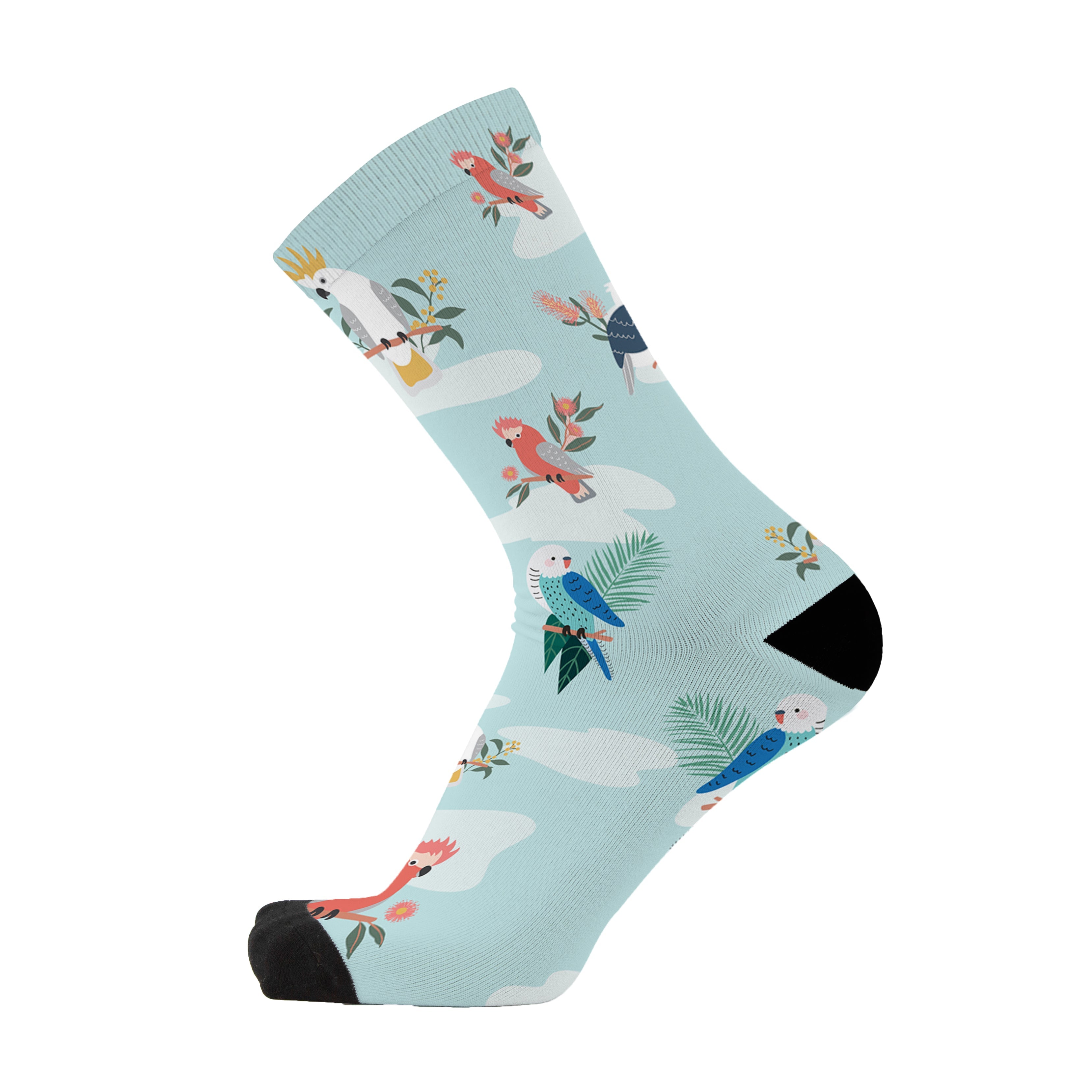 Colourful bamboo socks featuring cockatoos, budgies and galahs on a blue background.