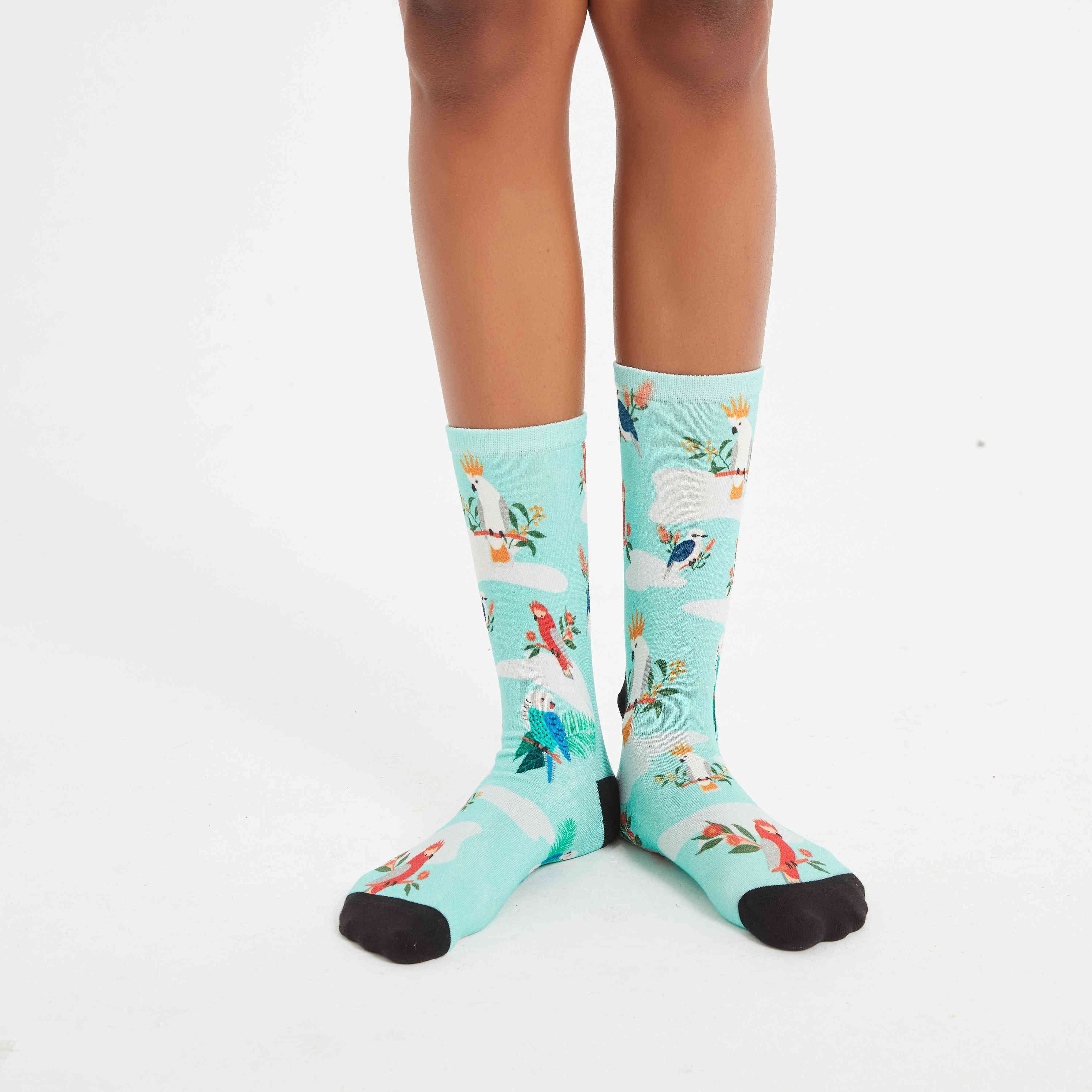Colourful bamboo socks featuring cockatoos, budgies and galahs on a blue background.