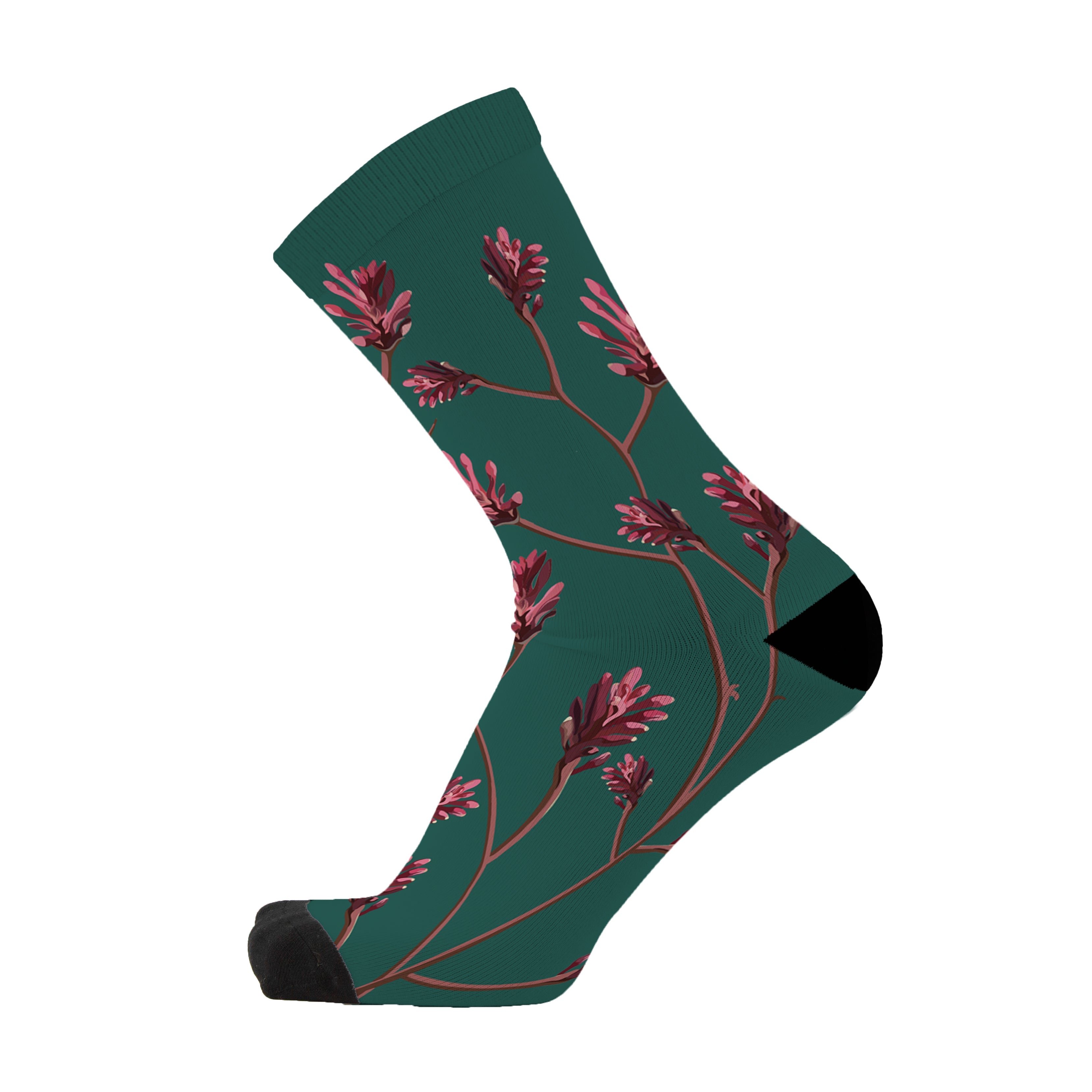 Colourful bamboo socks featuring Kangaroo Paw flowers on a dark green background.