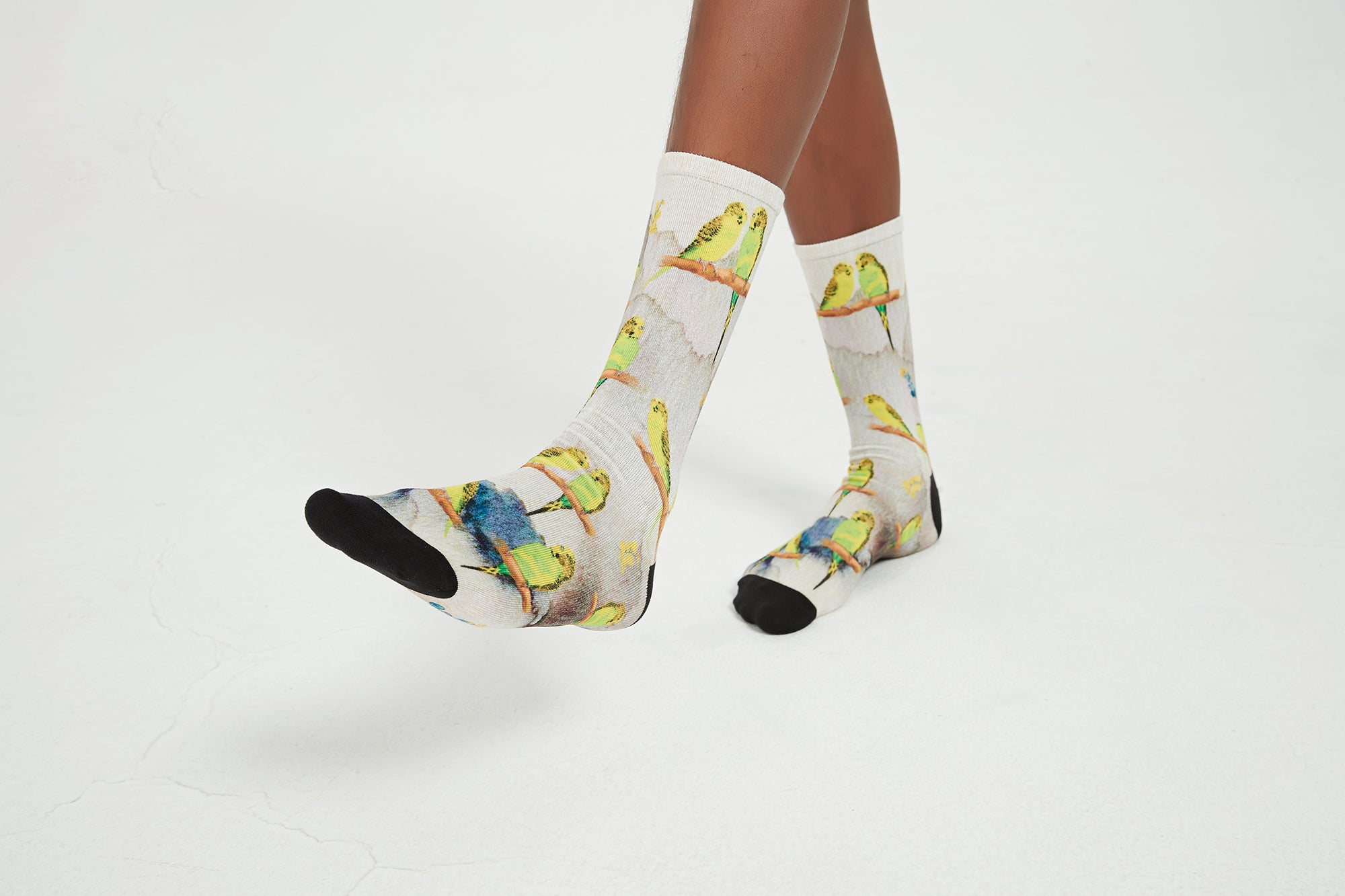 Budgies design socks for unisex