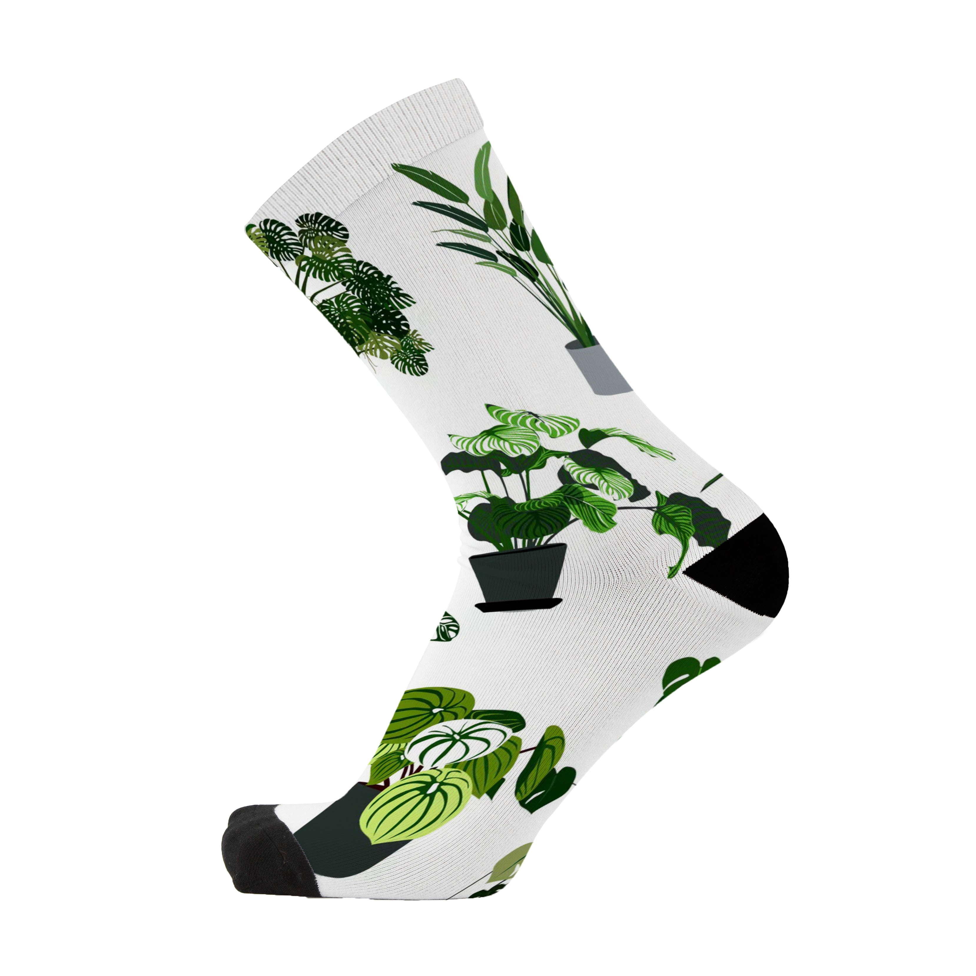 Leafy Greens
