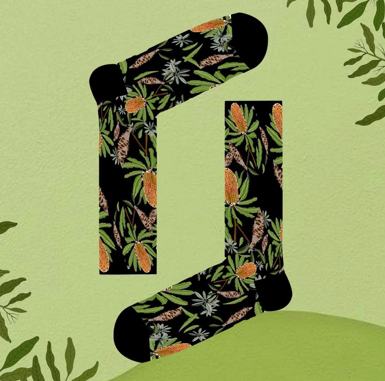 Australian native plants socks 