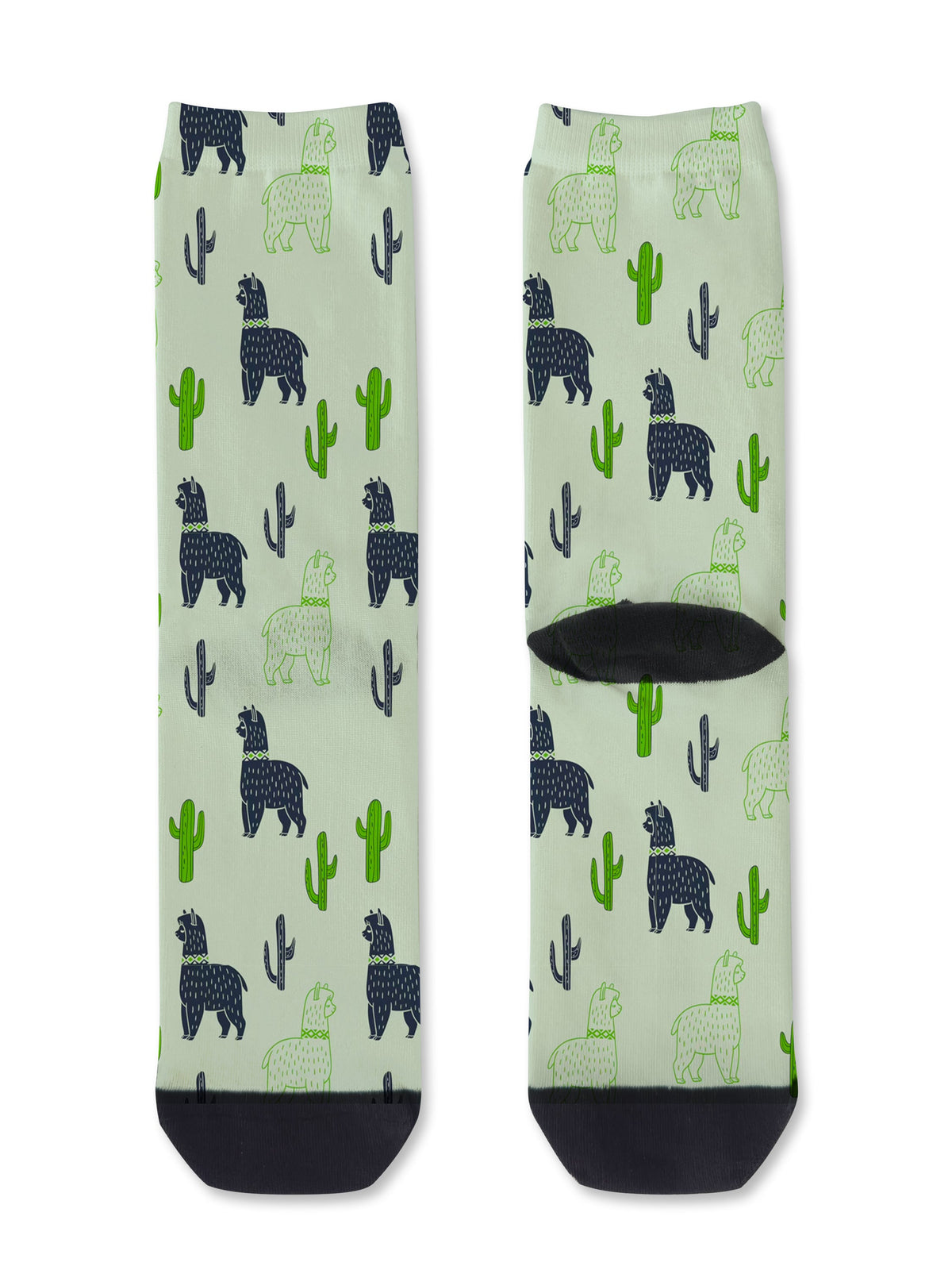 Cactus Llama