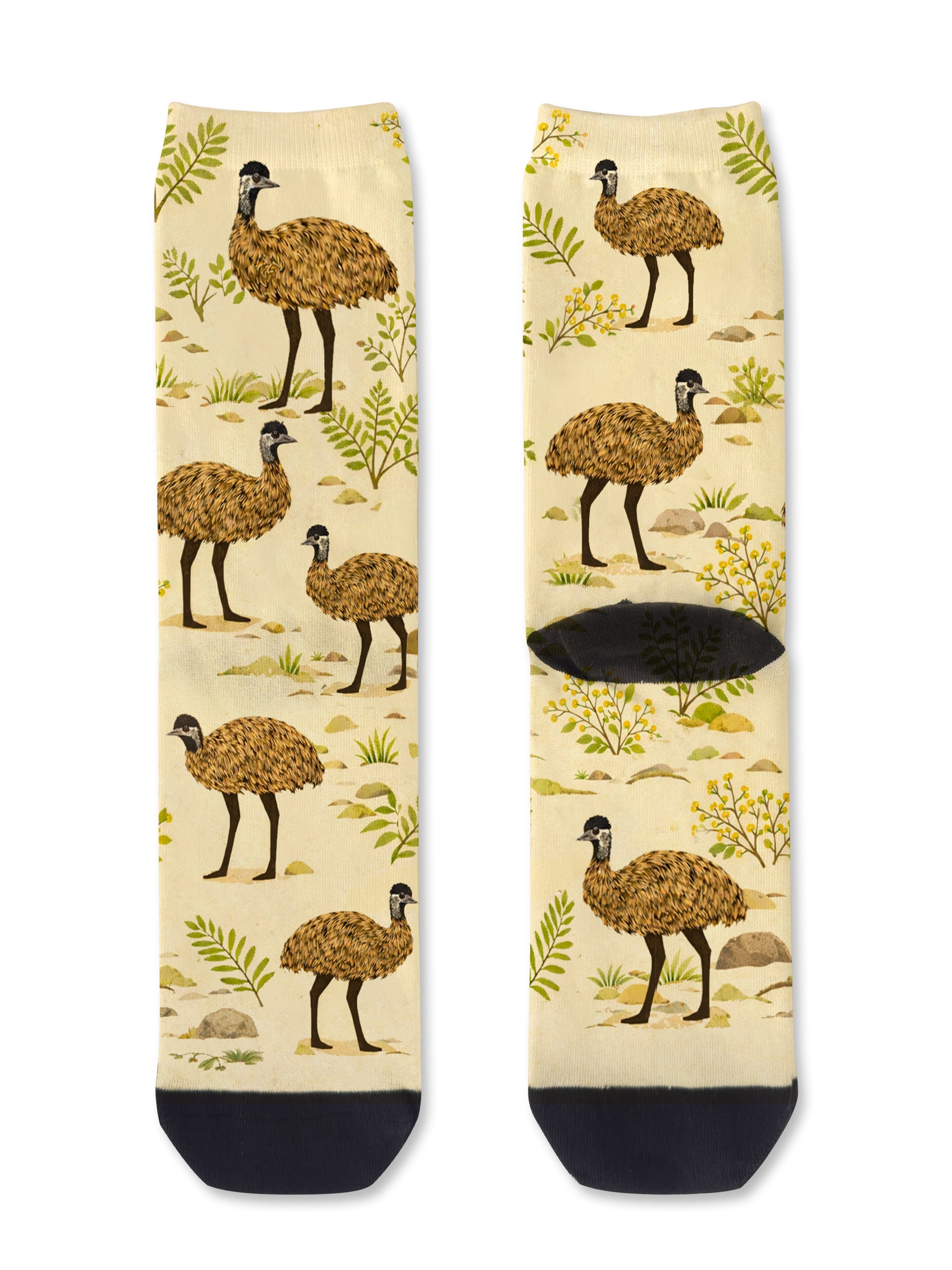 Outback Emu
