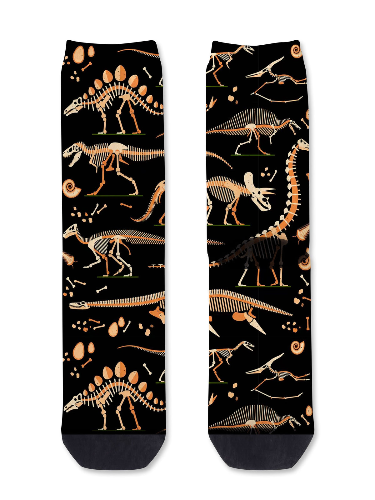Dinosaur Fossils