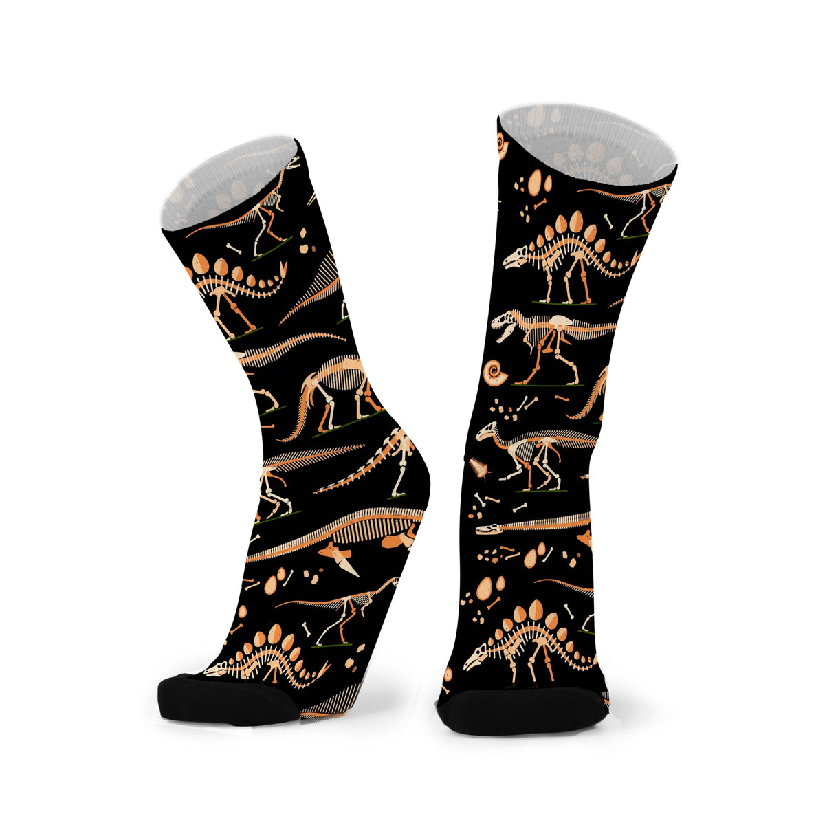 Dinosaur Fossils