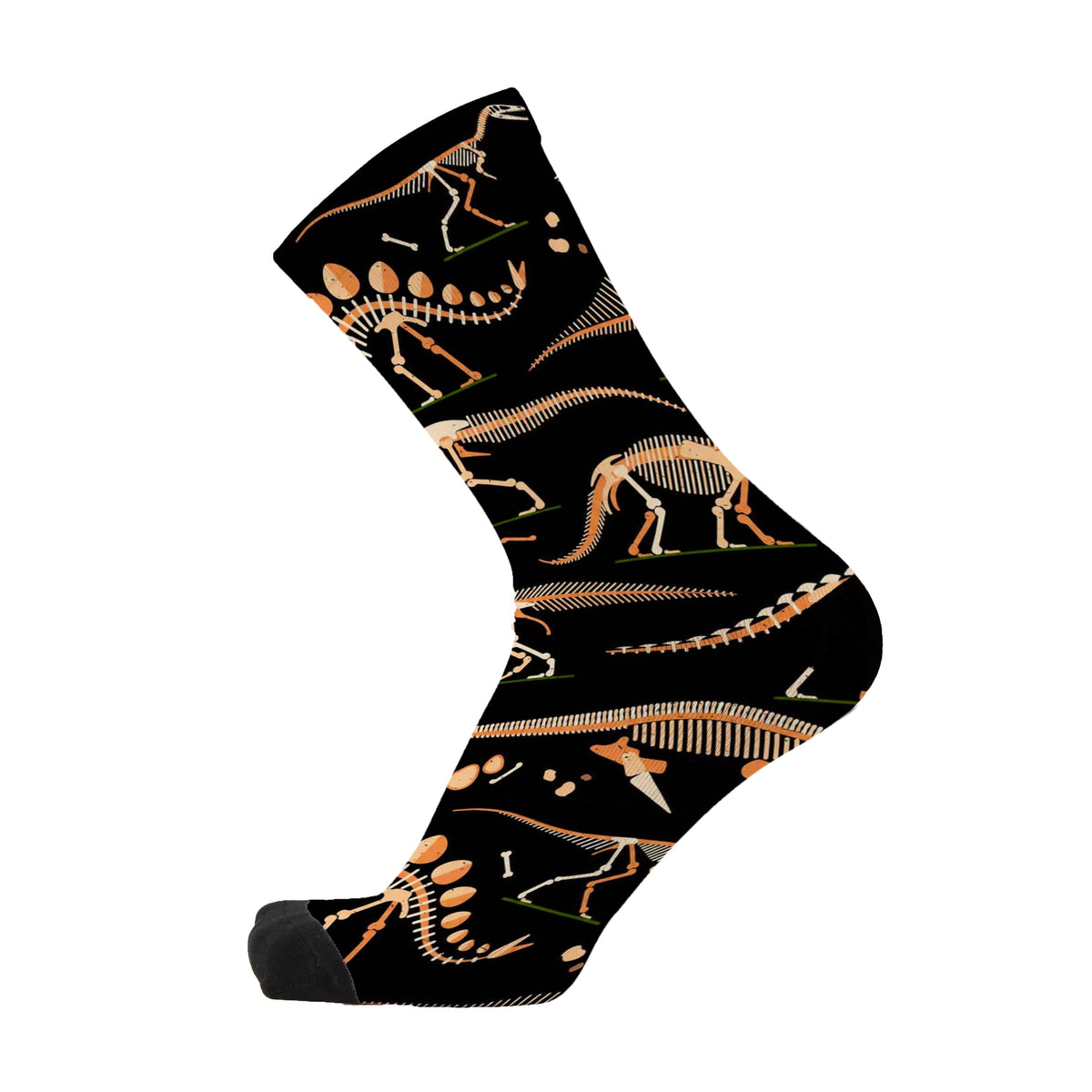 Dinosaur Fossils