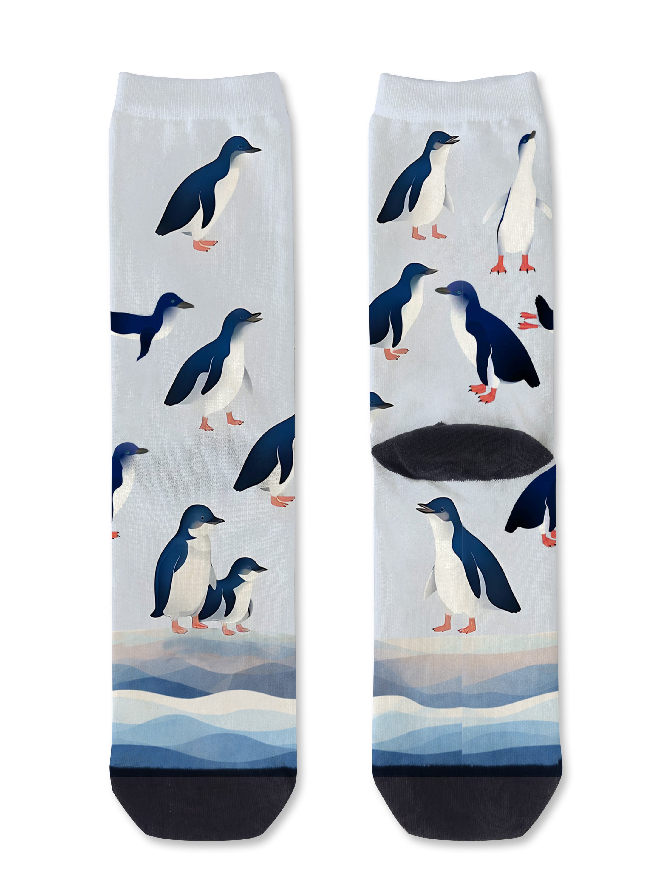 Fairy Penguin
