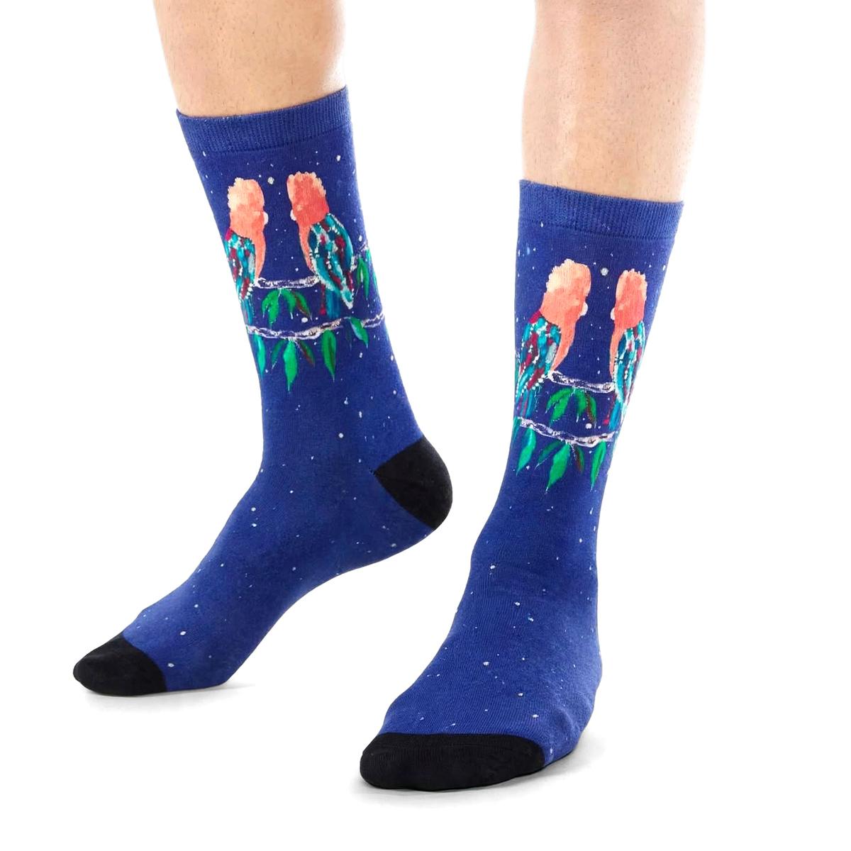Galahs Under Stars by Melanie Hava: navy galah-print bamboo socks worn on feet.