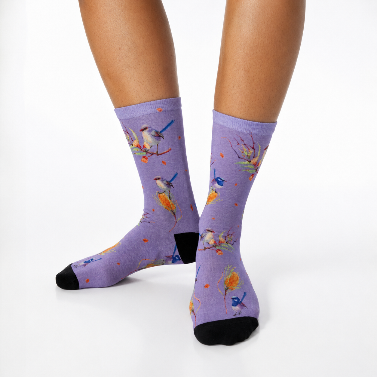 Colourful bamboo socks featuring Australian bird wren on a blue background.