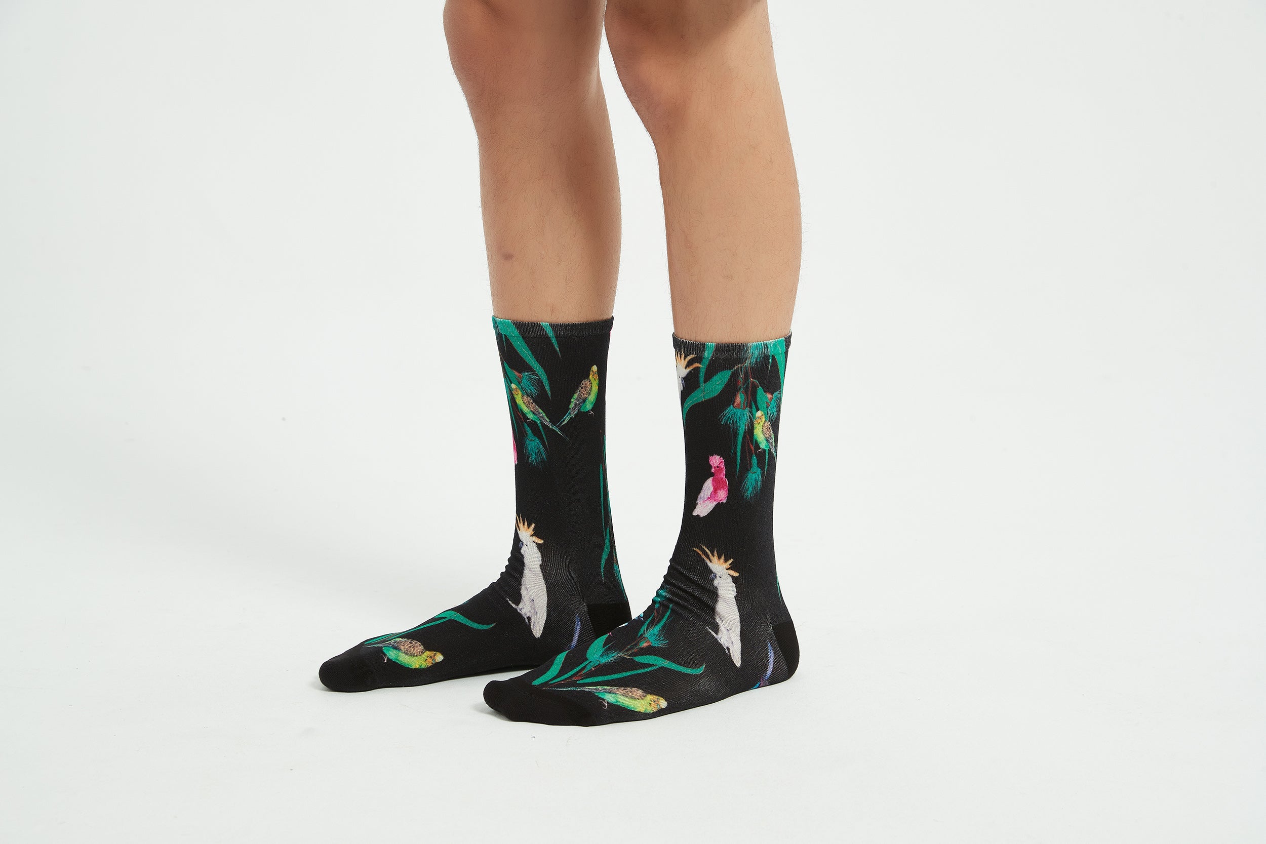 Colourful bamboo socks featuring cockatoos, budgies, fairy wrens and galahs on a black background.