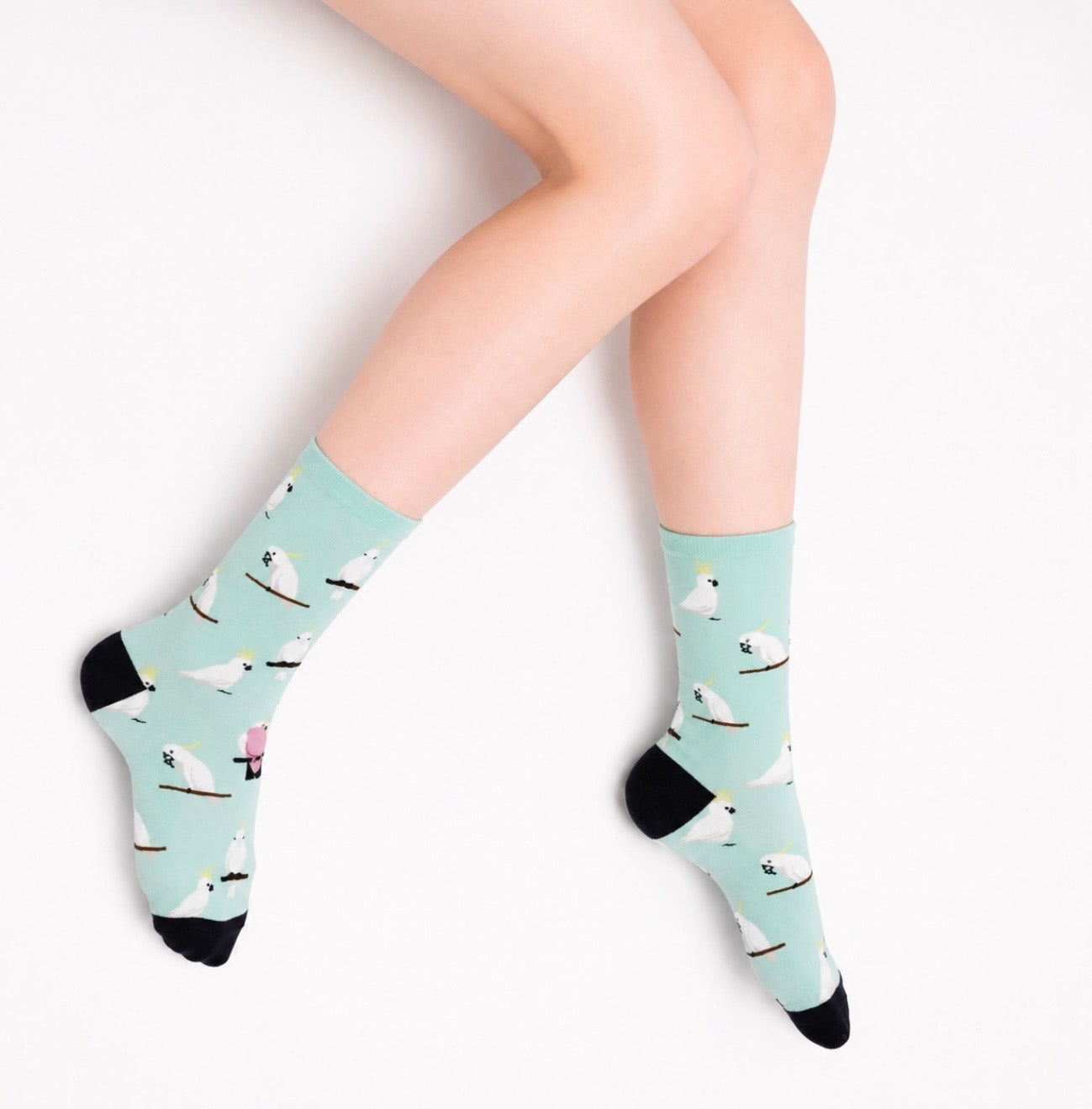 Mint bamboo socks featuring white sulphur-crested cockatoos perched on branches, worn by a model on a pastel background.