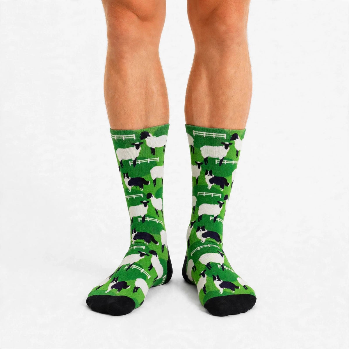 Border Collie sheep dog novelty socks with farm animal design for men and women