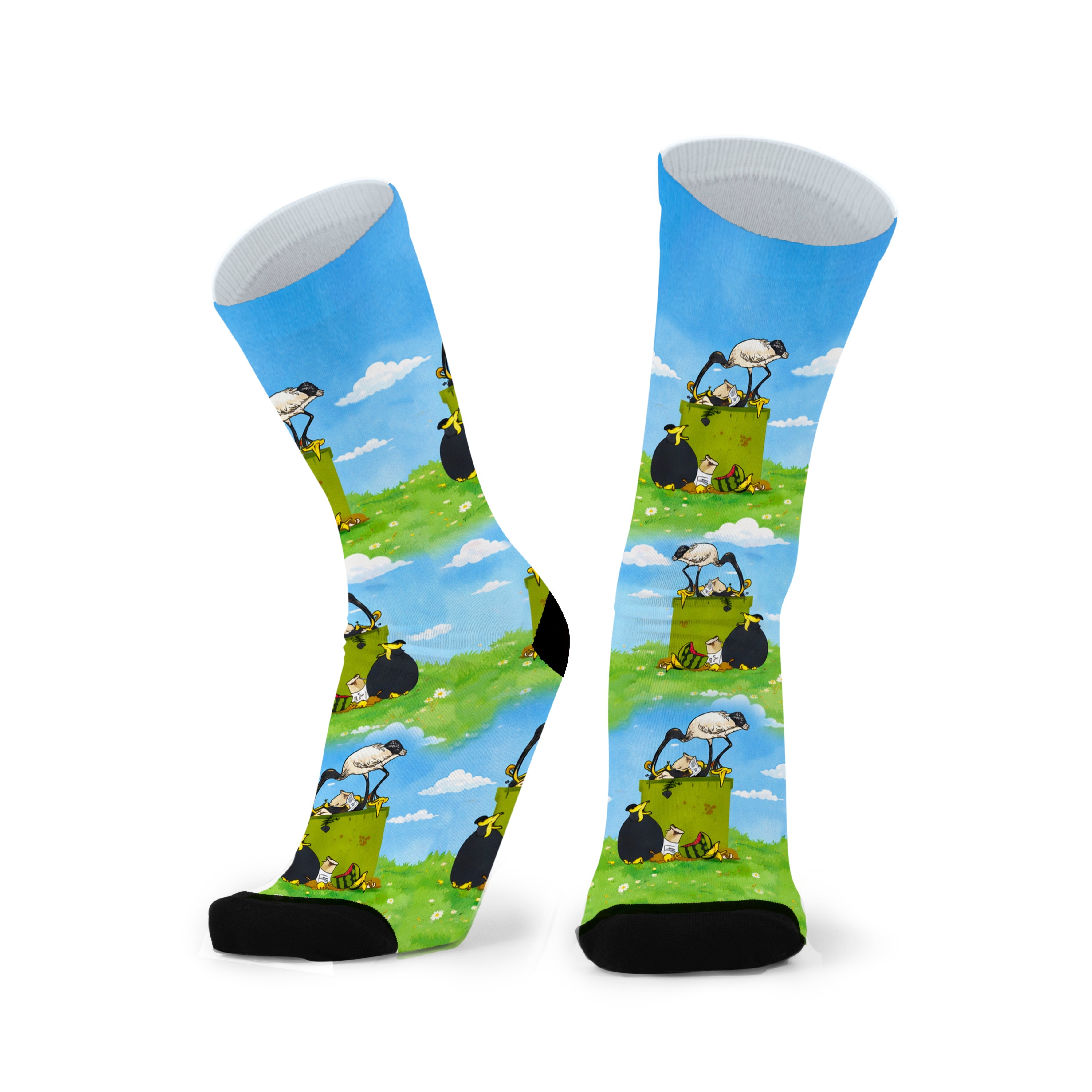 Colourful bamboo socks featuring Ibis birds and bins on a blue and green background.