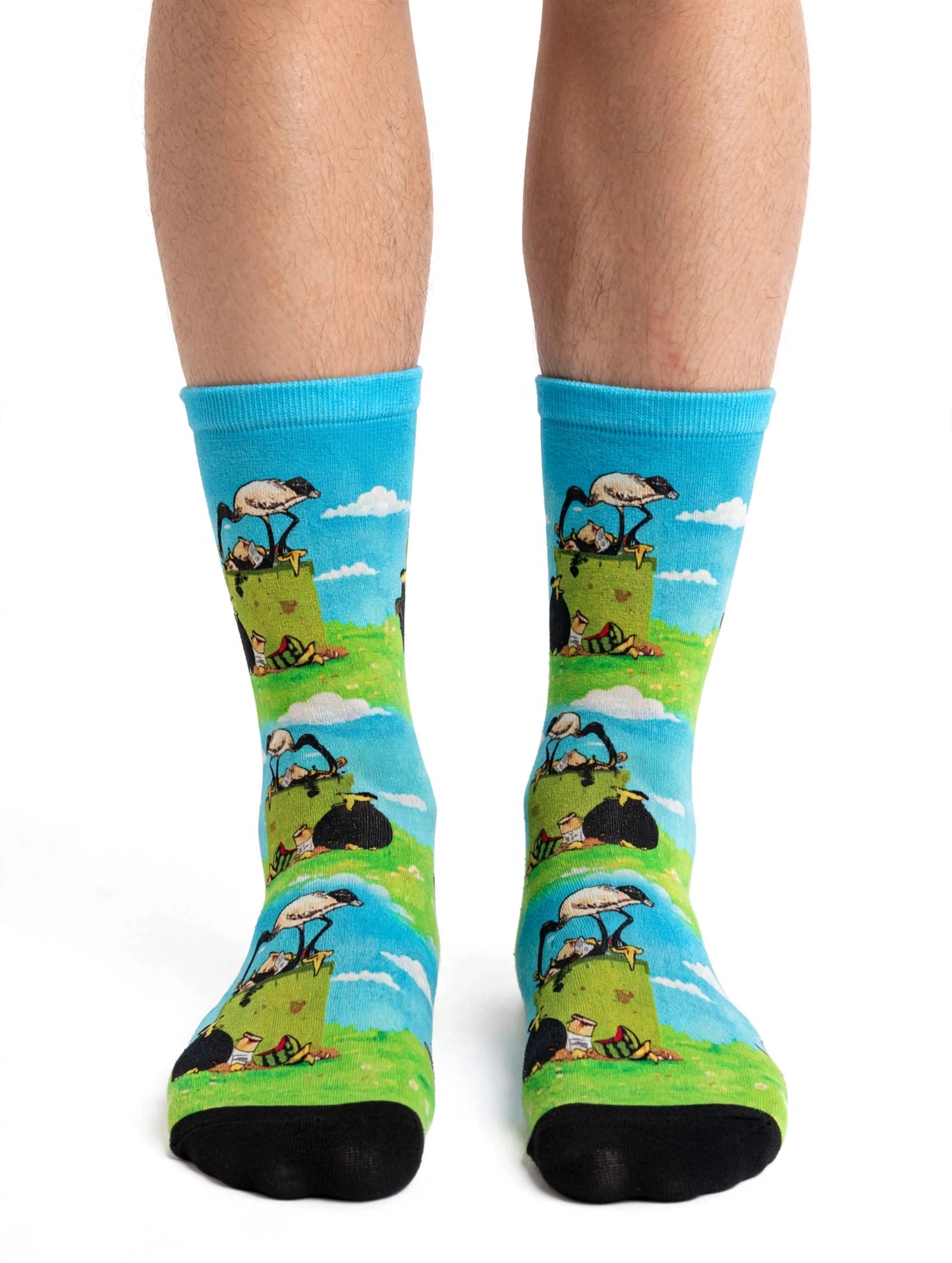 Colourful blue Cheeky Ibis socks worn in an Australian park, with ibis birds gathered around a green wheelie bin in the background.