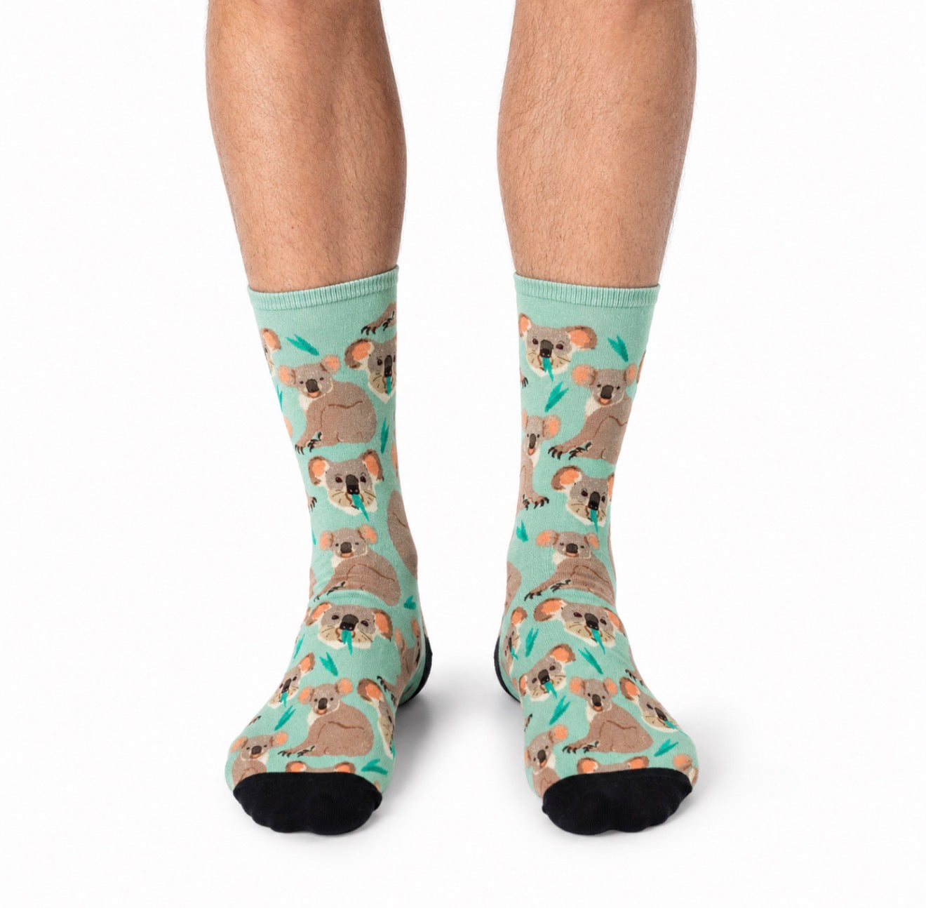 Teal socks with koala design worn by a person on a white background