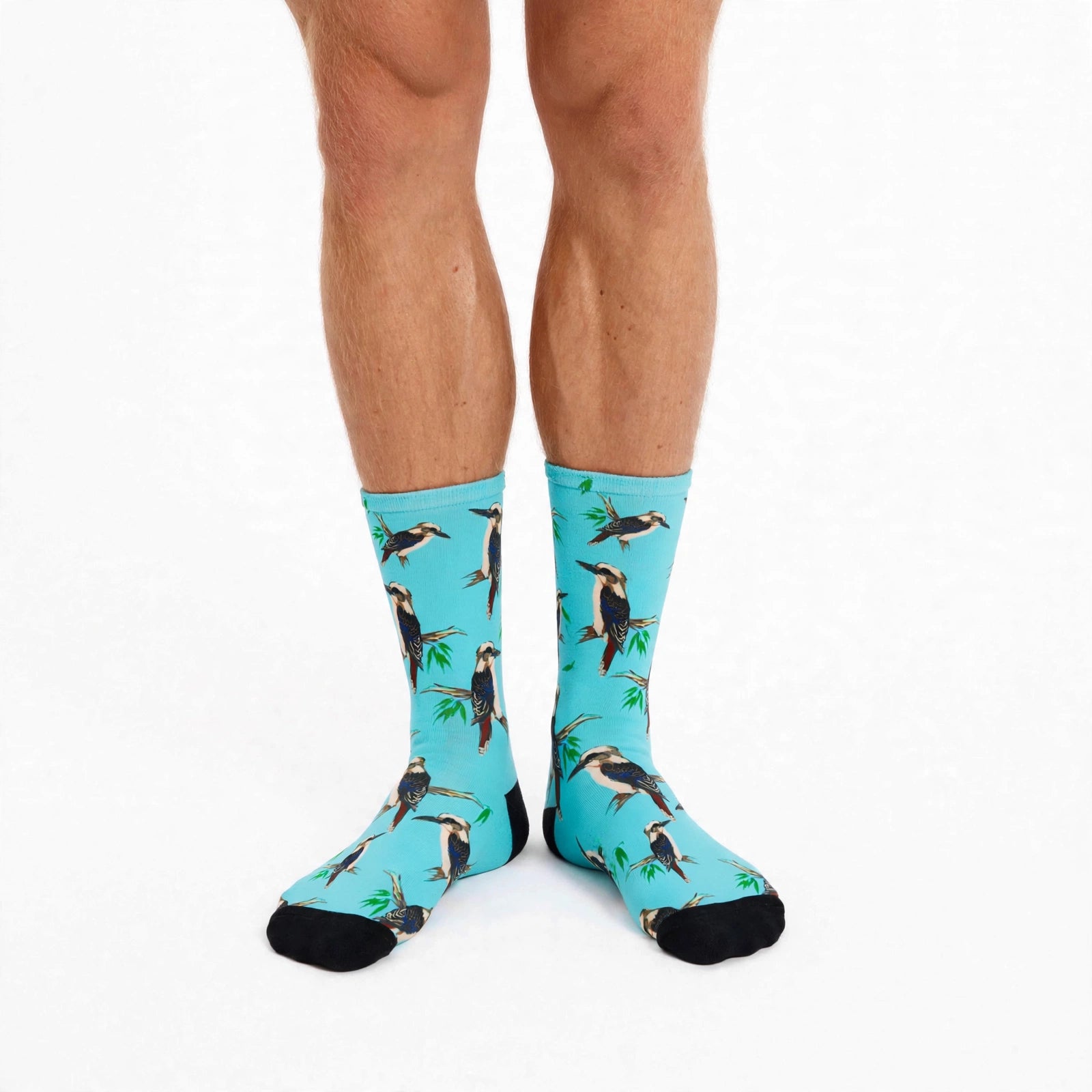 A pair of crew socks with a vibrant turquoise blue background and a repeating pattern of  Kookaburra bird perched on branches, shown on a model's feet against a plain white background. 