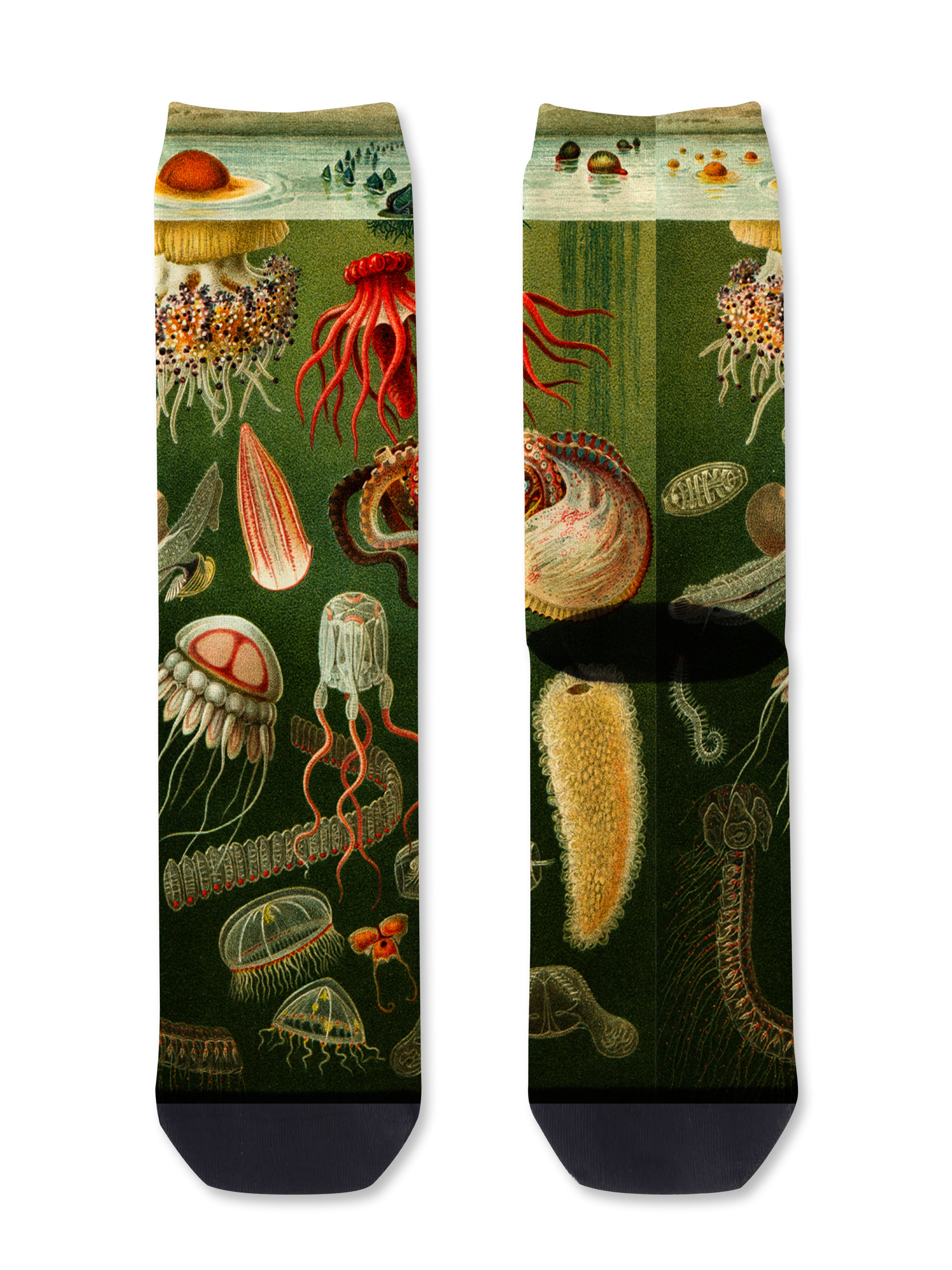 Colourful bamboo socks featuring jellyfish, octopus and ocean animals on a green background.