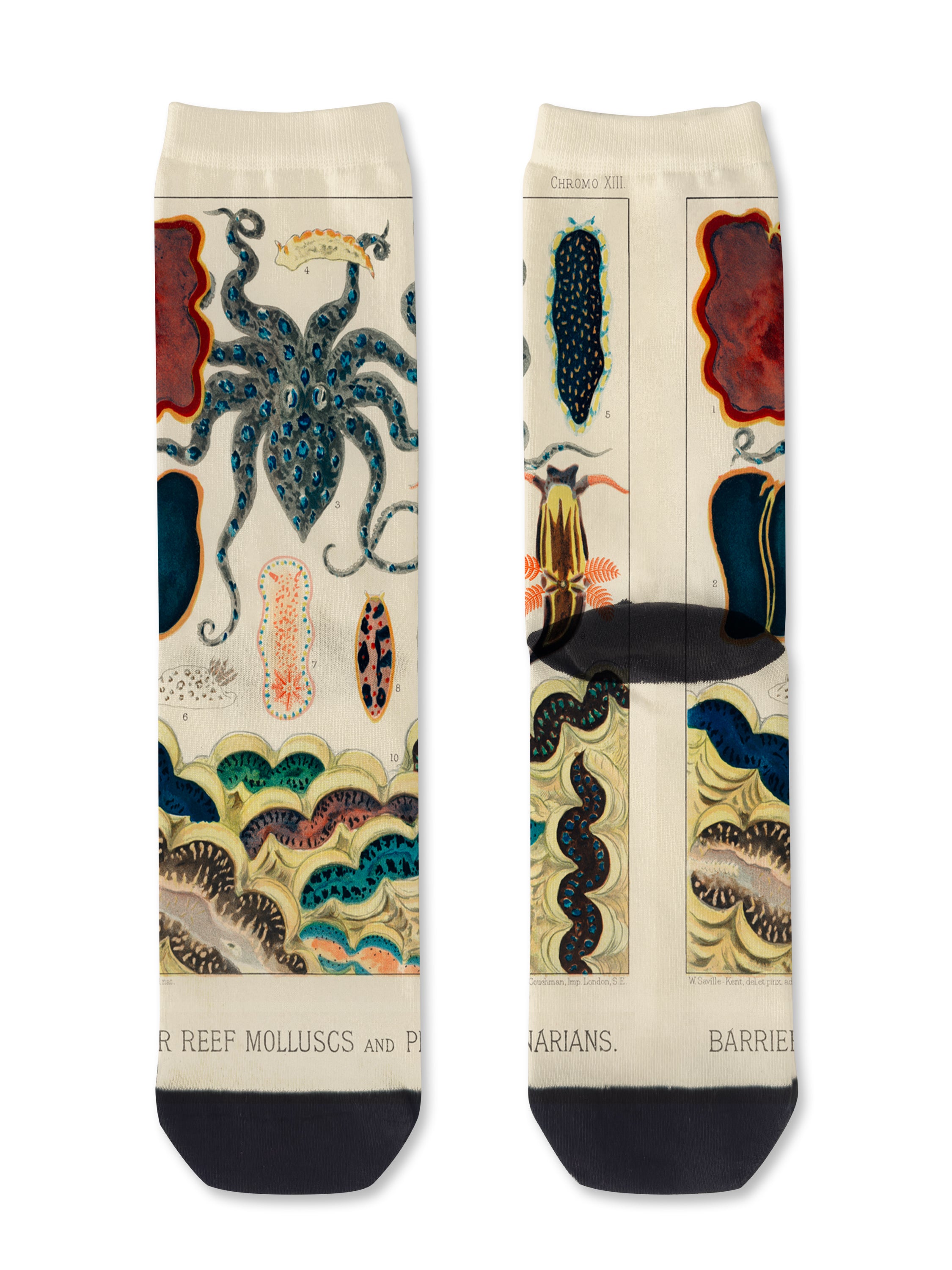 Colourful bamboo socks featuring octopus and ocean animals on a white background.