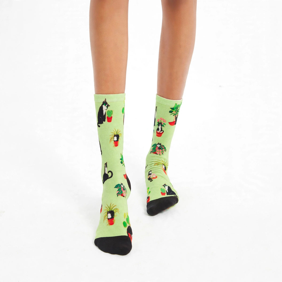 Cats and plants bamboo socks for women in Australia with black and white cats and leafy potted plants